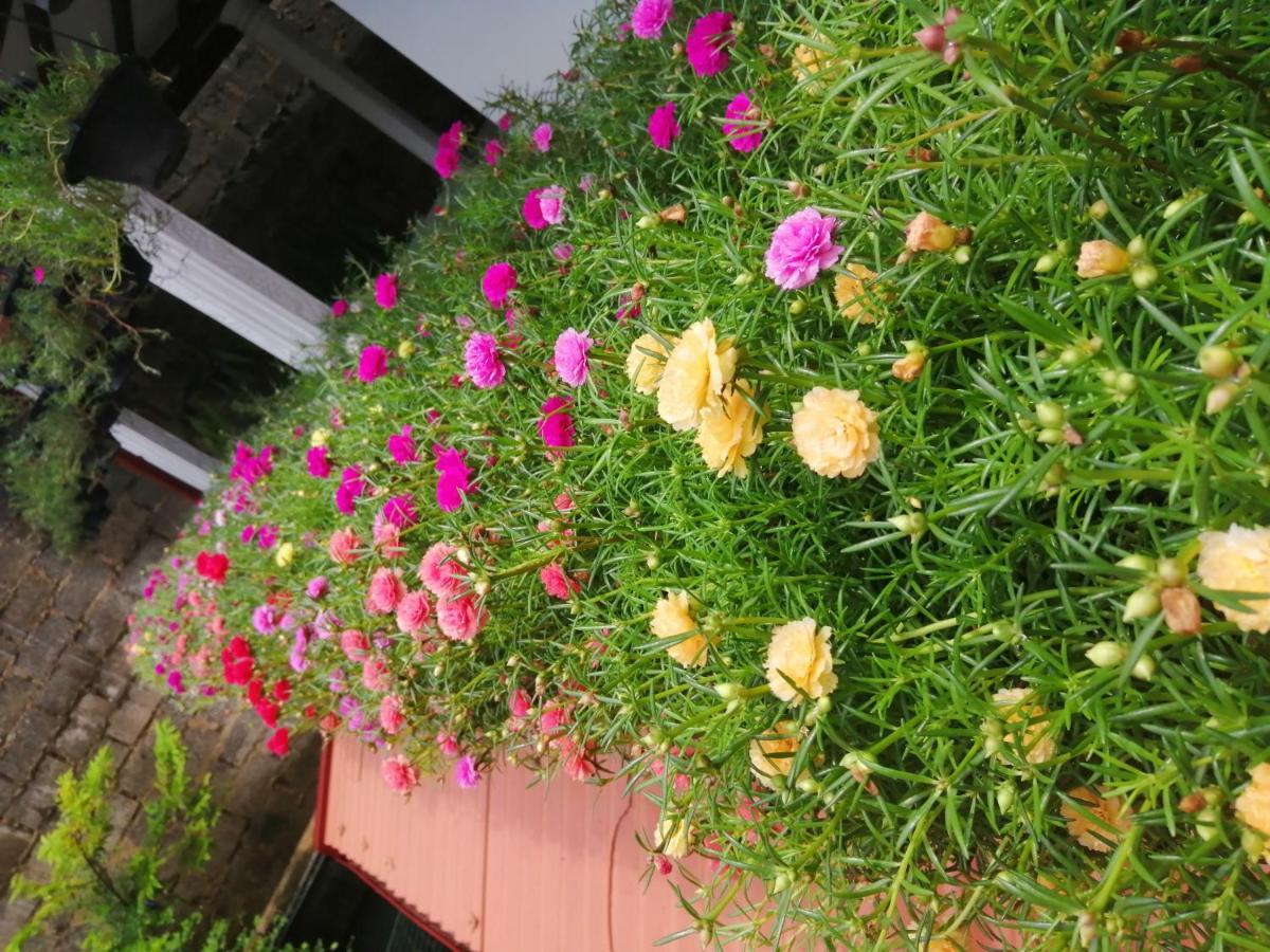Kanthi Holiday Rest Homestay มิริสซา ภายนอก รูปภาพ